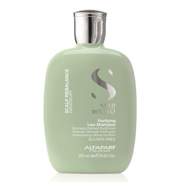 22442_1633361796_Alfaparf_ochischayuschiy_shampun_protiv_perhoti_SDL_Scalp_Purifying_Shampoo